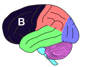 bootstrap your mind